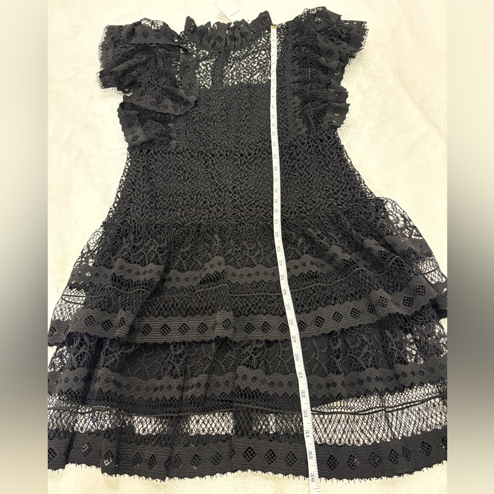 Anine Bing Penelope Lace Ruffle Teired Mini Dress Size M NWT - Picture 13 of 16